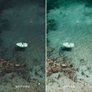 AMALFI | Presets by Maxine Stevens