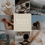 MOODY STILLS | Presets by Maxine Stevens