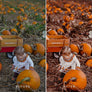 FALL | Presets by Maxine Stevens