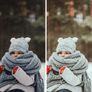 WINTER WONDERLAND | Presets by Maxine Stevens