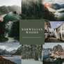 NORWEGIAN WOODS | Presets by Maxine Stevens