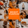 BRIGHT PUMPKIN | Presets by Maxine Stevens